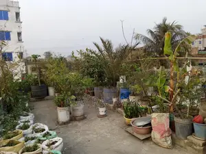 তিন তলা বাড়ি বিক্রি হচ্ছে।