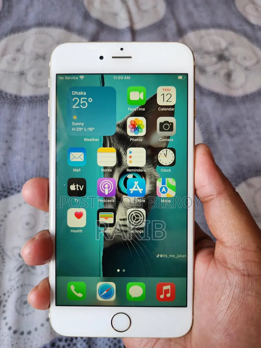 Apple iPhone 6S Plus ` (Used)