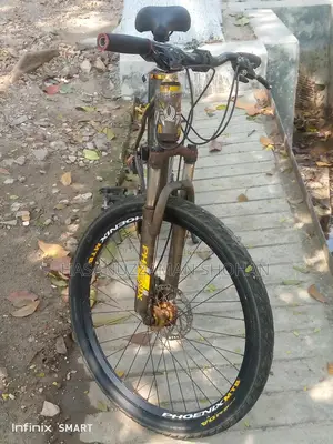 Phoenix Bicycle for Sale