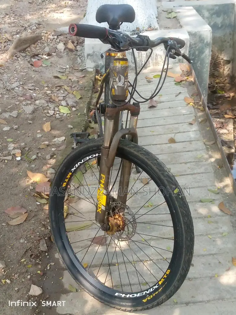 Phoenix Bicycle for Sale