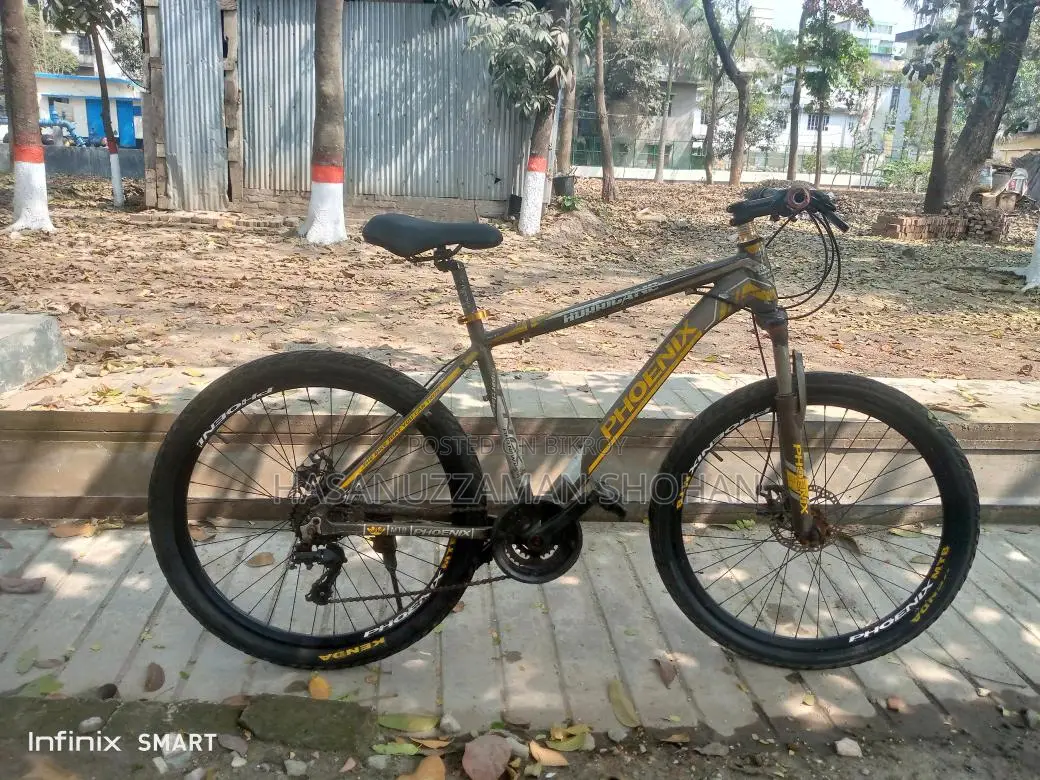 Phoenix Bicycle for Sale