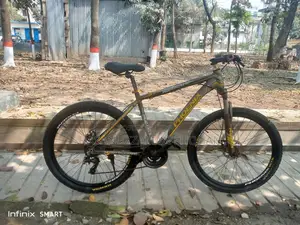 Phoenix Bicycle for Sale