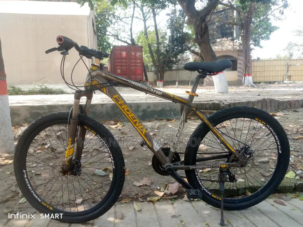 Phoenix Bicycle for Sale
