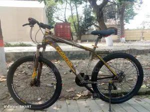 Phoenix Bicycle for Sale