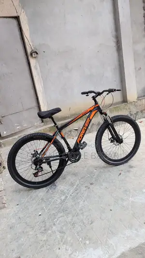 Bicycle Sale
