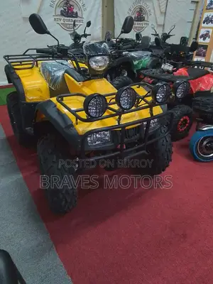 Zongshen Z One T Bike 2024