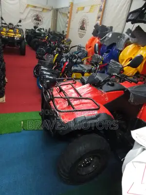 Zongshen Z One T Bike 2024