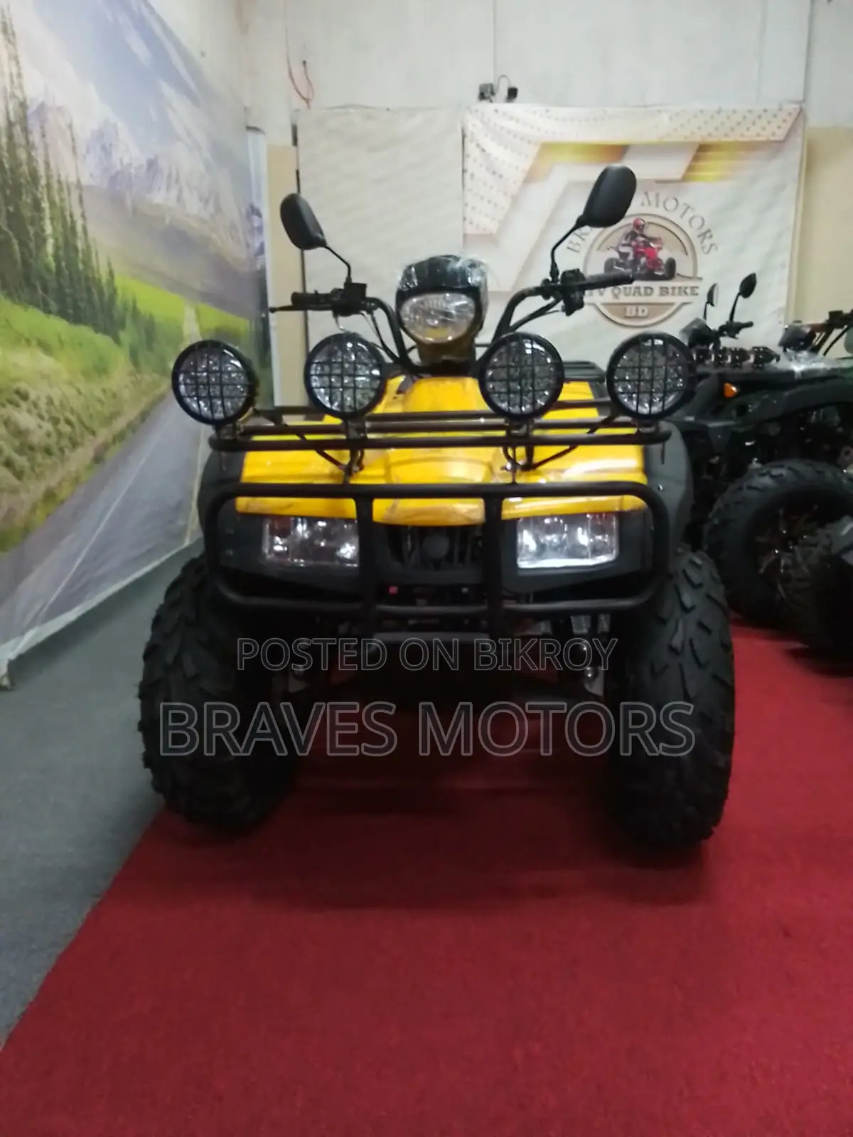 Zongshen Z One T Bike 2024