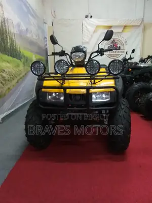 Zongshen Z One T Bike 2024