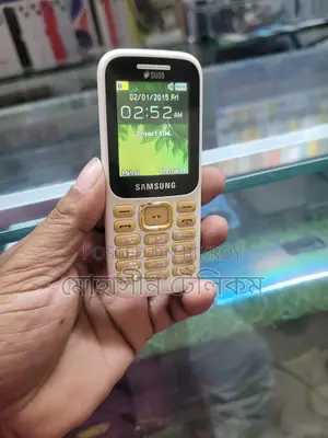 Samsung Guru Music 2 (Used)