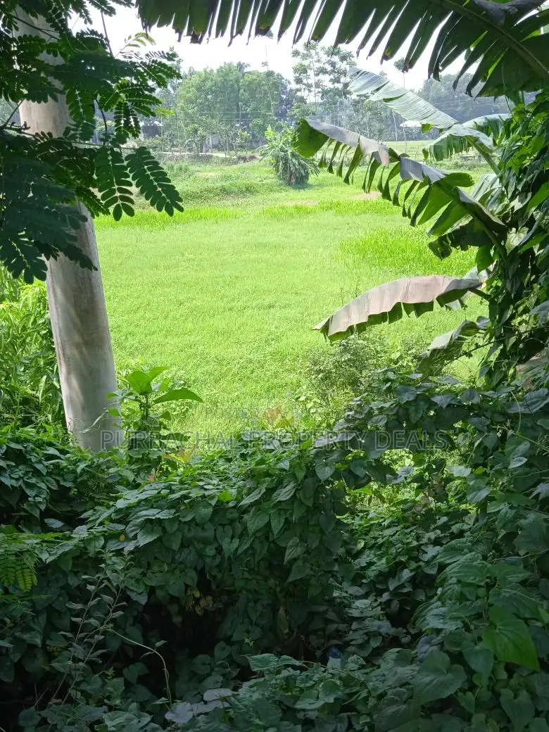 Mirer Bazar to Sylhet Highway: 45 Decimal Dream Land for Sale