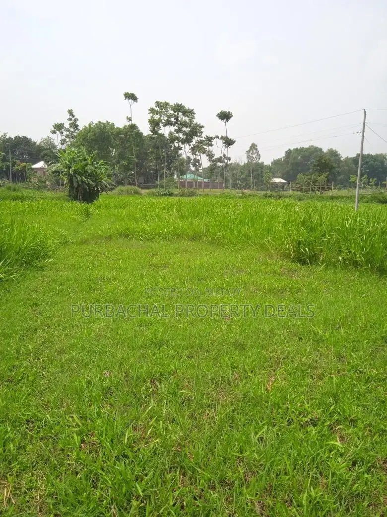 Mirer Bazar to Sylhet Highway: 45 Decimal Dream Land for Sale