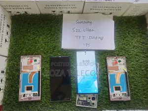 Samsung S22 Ultra TFT Display
