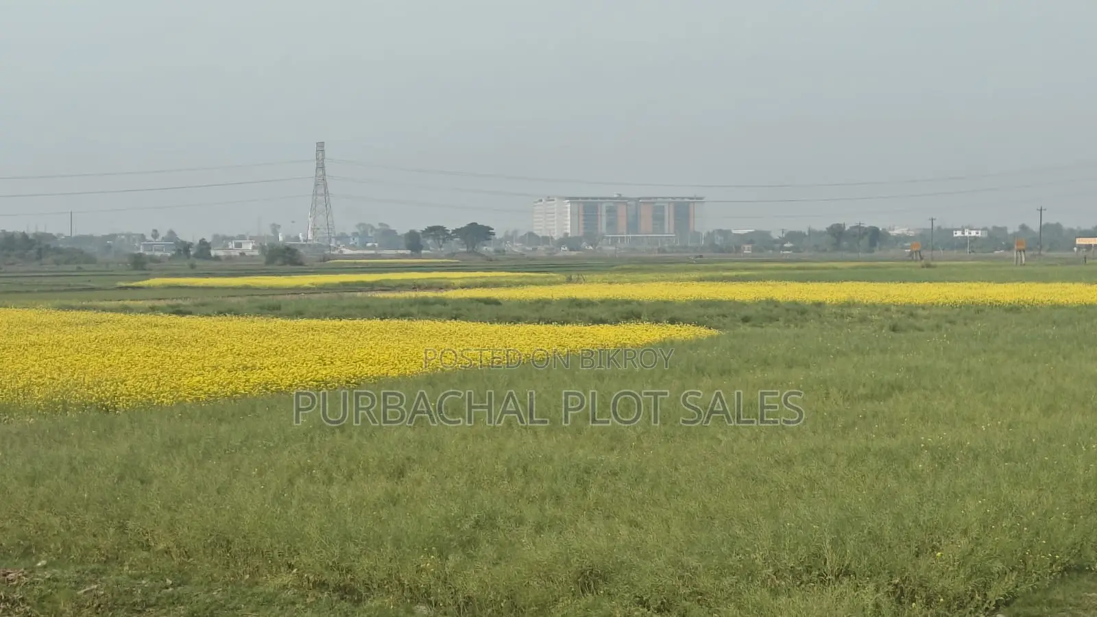 পূর্বাচল এর পাশেই আগামীর স্মার্ট সিটি, টিউলিপ ভ্যালী প্রকল্প।