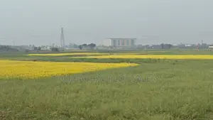 পূর্বাচল এর পাশেই আগামীর স্মার্ট সিটি, টিউলিপ ভ্যালী প্রকল্প।