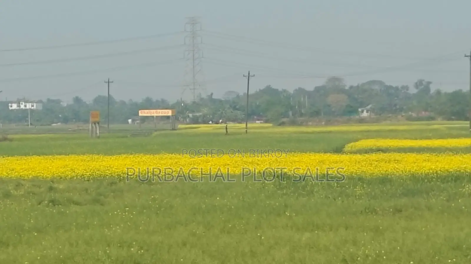পূর্বাচল এর পাশেই আগামীর স্মার্ট সিটি, টিউলিপ ভ্যালী প্রকল্প।