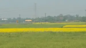 পূর্বাচল এর পাশেই আগামীর স্মার্ট সিটি, টিউলিপ ভ্যালী প্রকল্প।