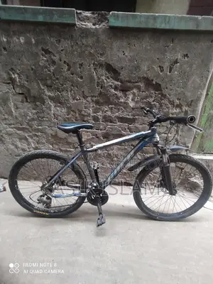 Core Bicycle for Sale