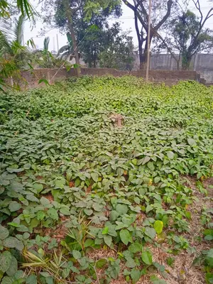 লাক্সারি ১৩.৫০ শতাংশ জমি শীতলক্ষ্যা নদী ভিউ পূর্বাচলের আইকনিক