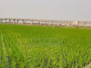 Land for Sale Adjacent to Ashulia Elevated Expressway