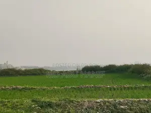 Land for Sale Adjacent to Ashulia Elevated Expressway