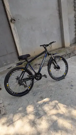 Aluminum body, gear, brake, suspension all okay