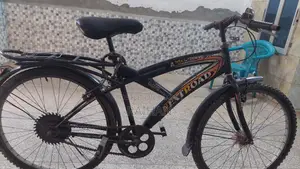 Straight Handle Bicycle