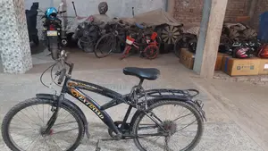 Straight Handle Bicycle