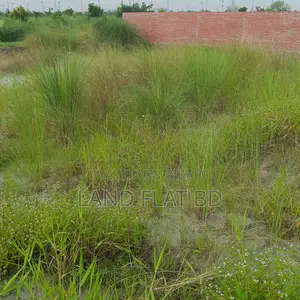দক্ষিণমুখী রেডি প্লট বিক্রয় @ 5 কাঠা