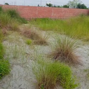 South-Facing Ready Plot for Sale @ 5 Katha