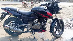 Bajaj Pulsar 150 UG5 2019
