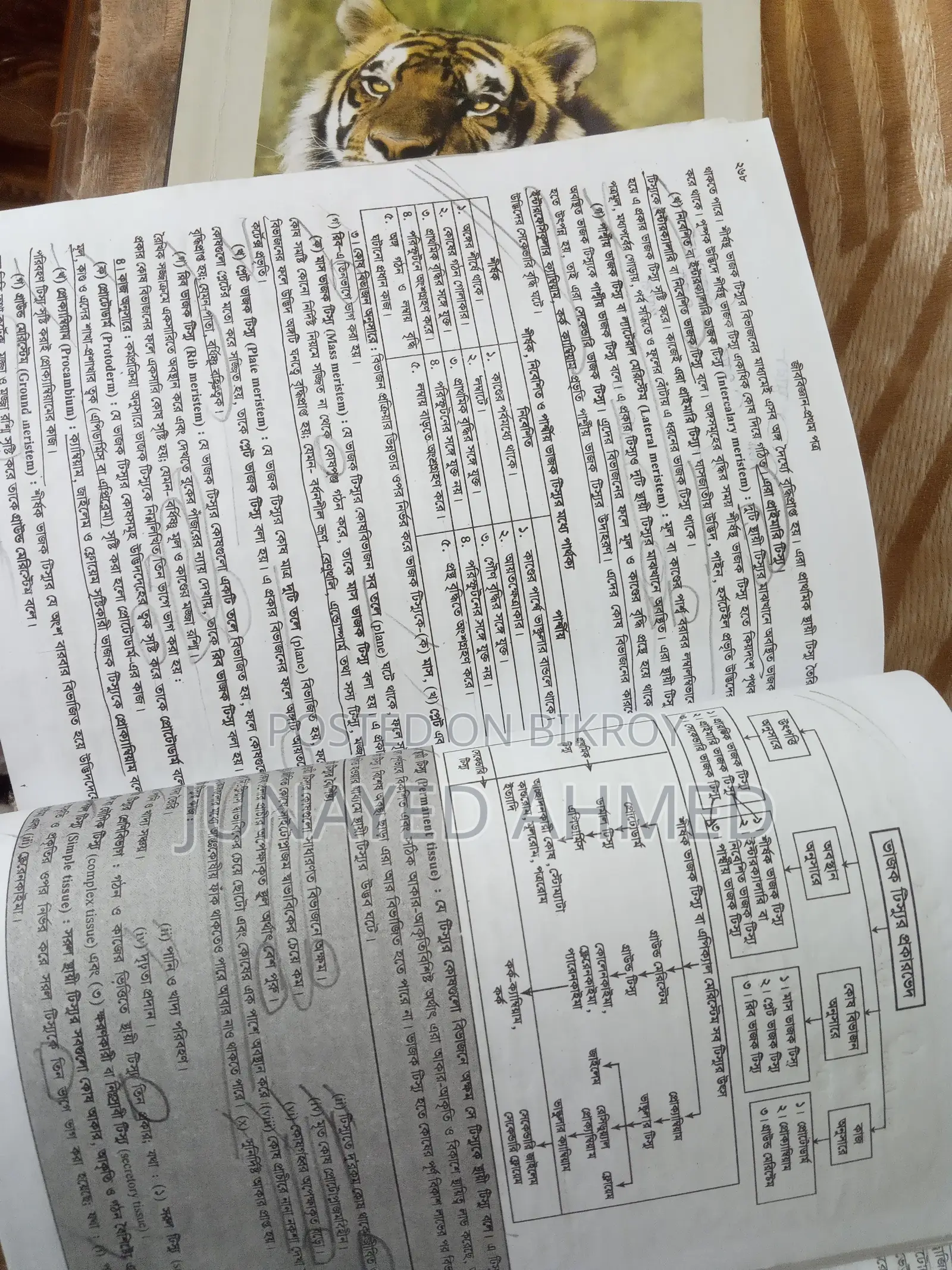 HSC Biology 1st and 2nd Paper Books