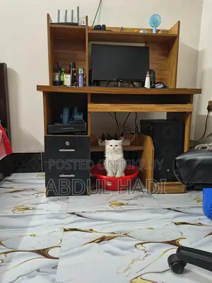 Cat for Sale