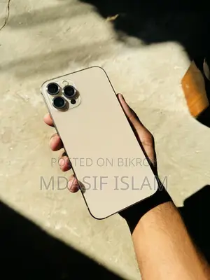 Apple iPhone 12 Pro Max . (Used)