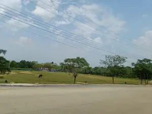 সেক্টর ২৫-এ ১৫০ ফুটের কাছে, দক্ষিণমুখী ৭.৫ কাঠা জমি