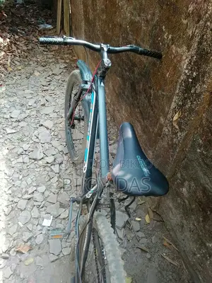 Bicycle for Sale