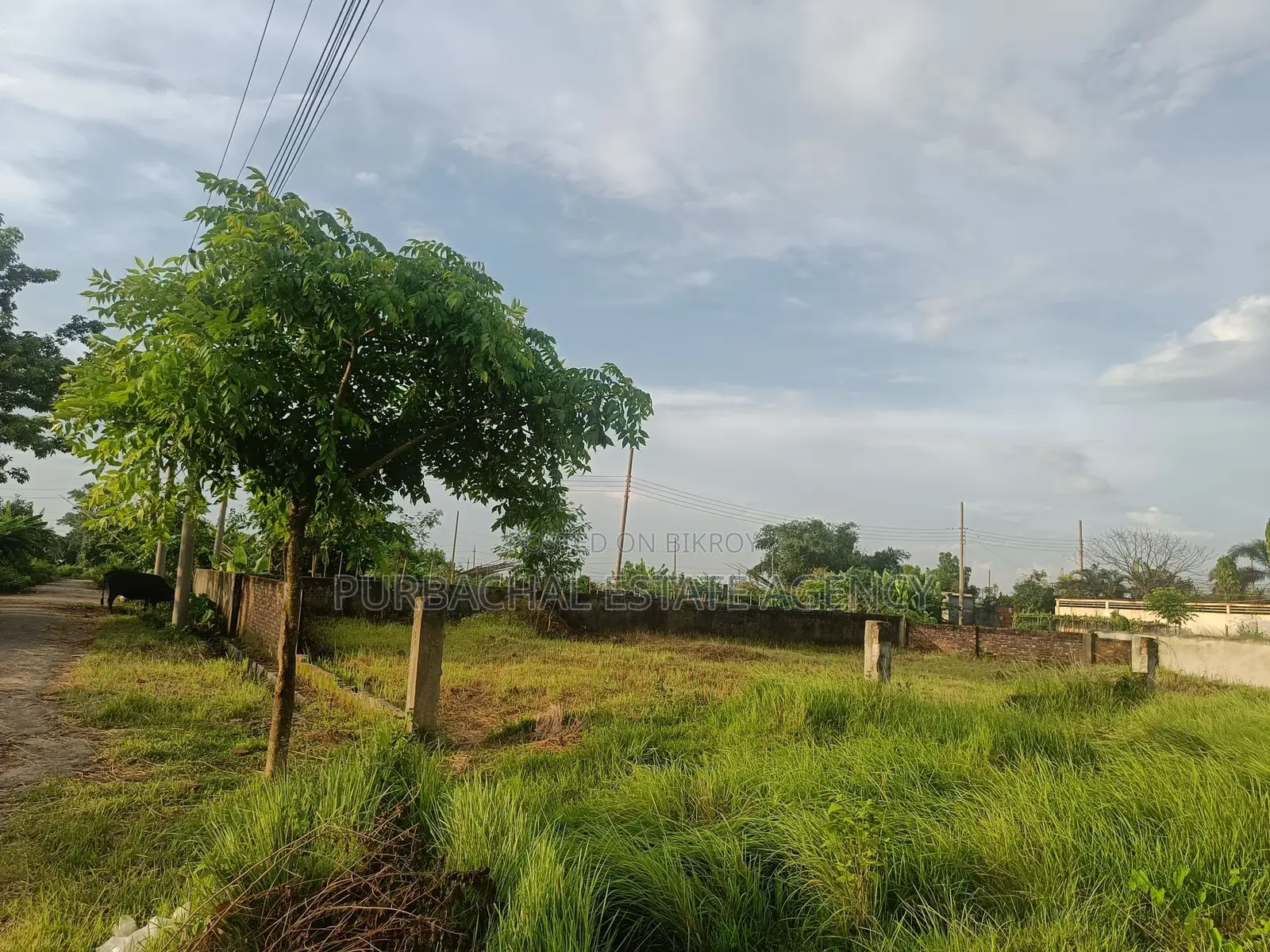 Near Play-Lot, East Facing, 5 Katha Plot In Sec#11