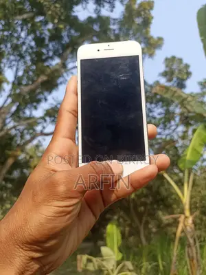 Apple iPhone 6 (Used)