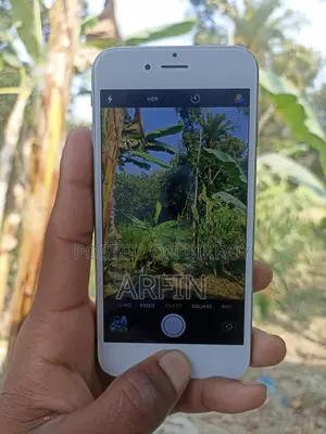 Apple iPhone 6 (Used)