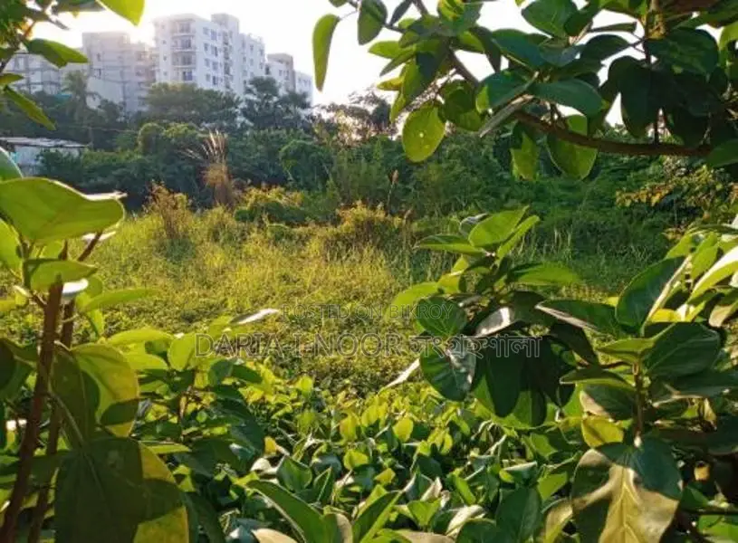 Approximately 12 Bigha Land for Sale in a Prime Location of Uttara, Dhaka