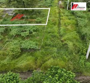 Nearby 150ft, 3 Katha Plot In Sec#28