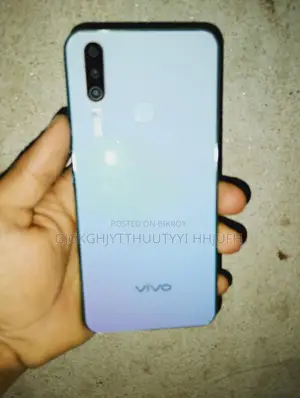 ভিভো ওয়াই১৭ (ব্যবহৃত)