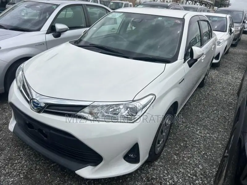 Toyota Axio Ex 2020
