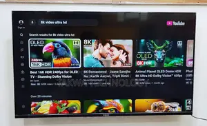 Vision-43" Inch Google Frameless Voice Control TV