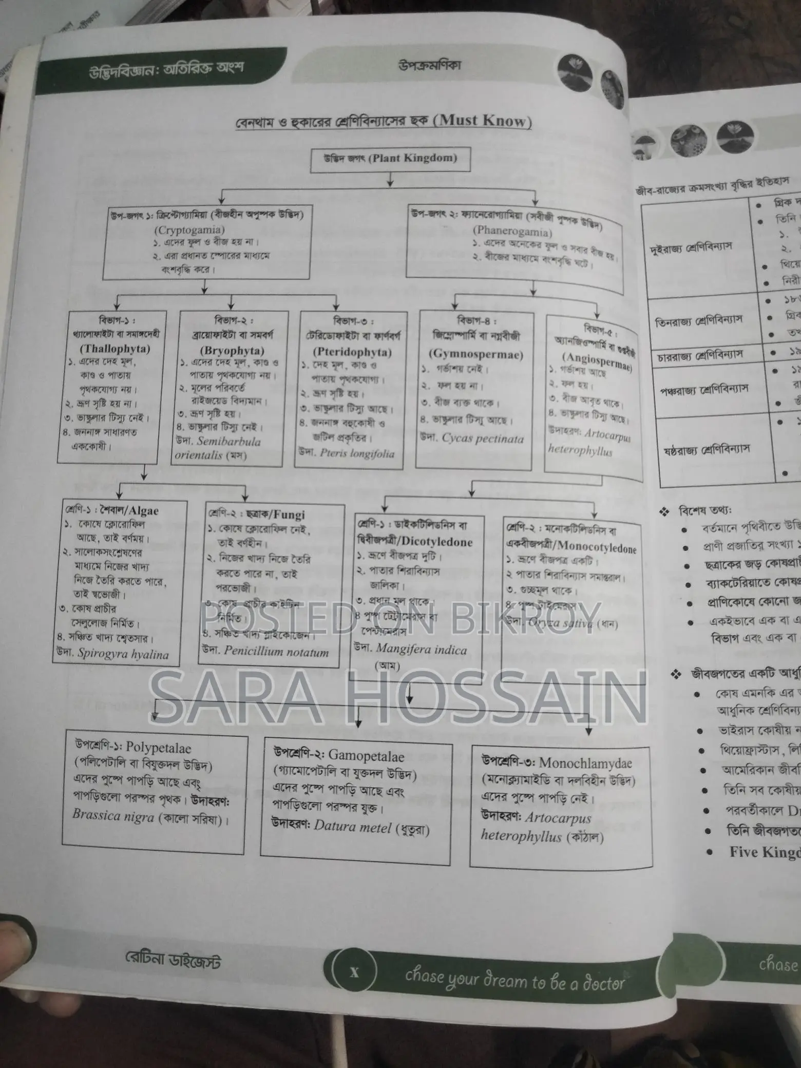Retina Digest Biology