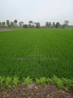 Land for sale in Purbachal – Invest in your future today