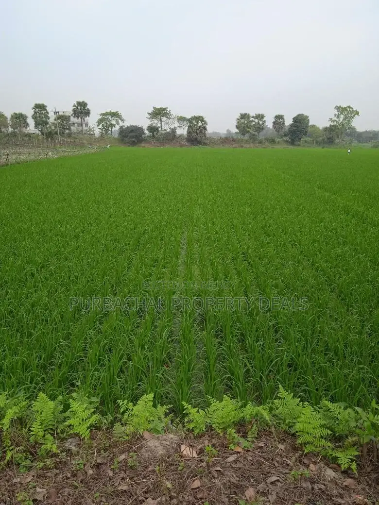 Land for sale in Purbachal – Invest in your future today