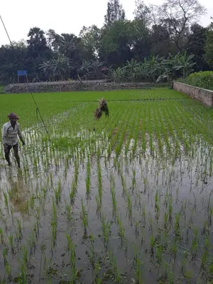 Land for sale in Purbachal – Invest in your future today