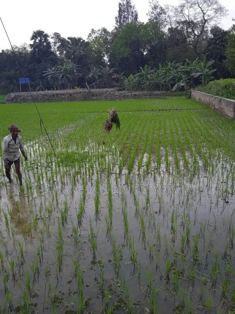 Land for sale in Purbachal – Invest in your future today