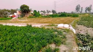 30 decimals of land for sale by the road